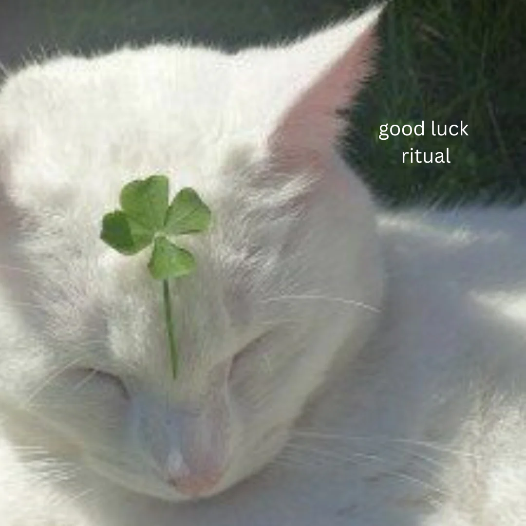 Good Luck Ritual